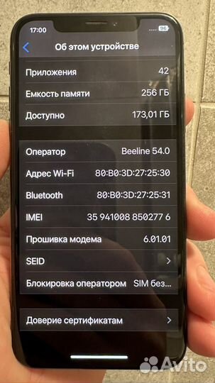 iPhone X, 256 ГБ