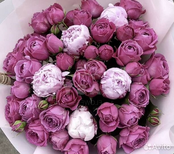 Свежие пионы