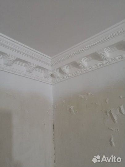 Мастер на все руки