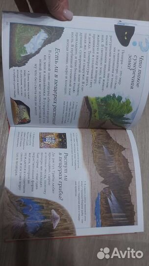 Энциклопедия для детей