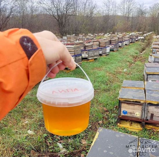 Липовый мед натуральный