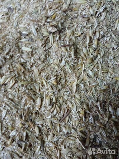 Корм для животных