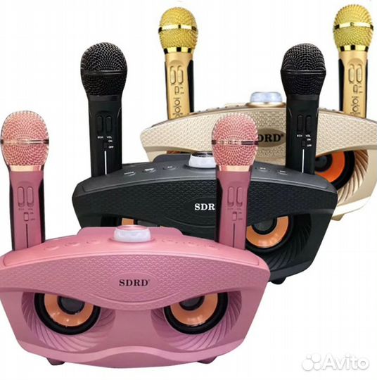 Портативная караоке система с двумя микрофонами