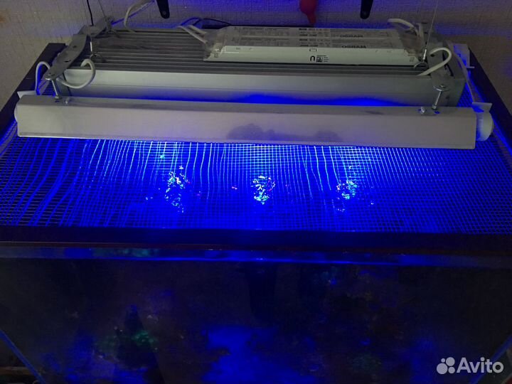 Оборудование для морских аквариумов