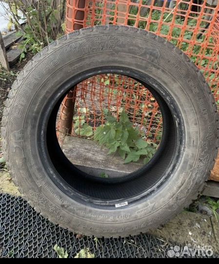Gislaved Nord Frost 5 215/65 R16