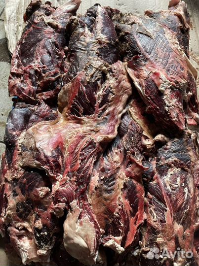 Мясо,шеи утки,фарш,корм для вашего питомца,собаки