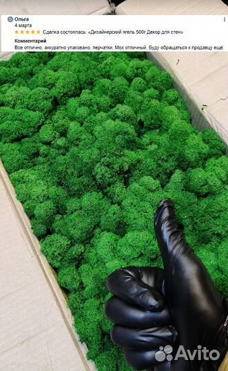 Стабилизированный мох для интерьерных работ