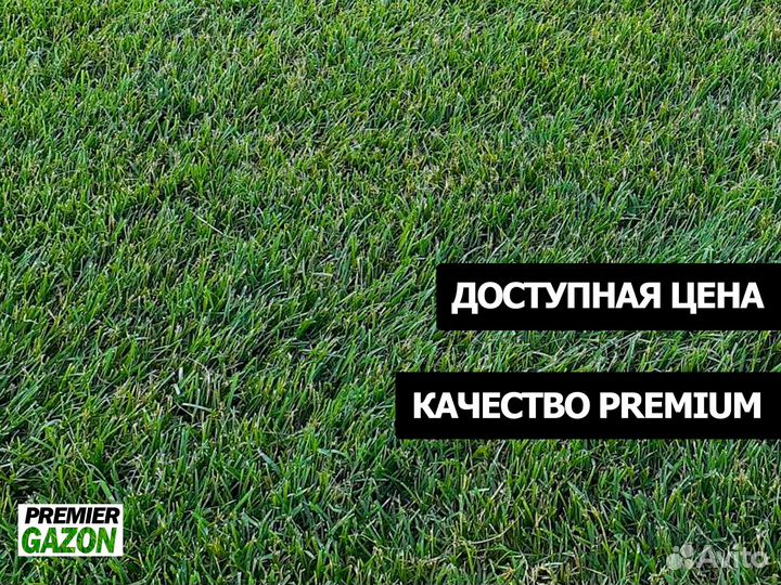 Рулонный газон