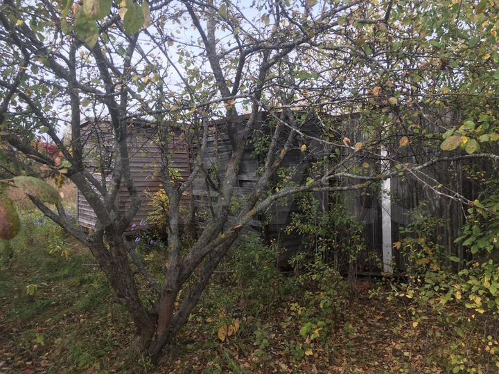 Участок 10 сот. (СНТ, ДНП)