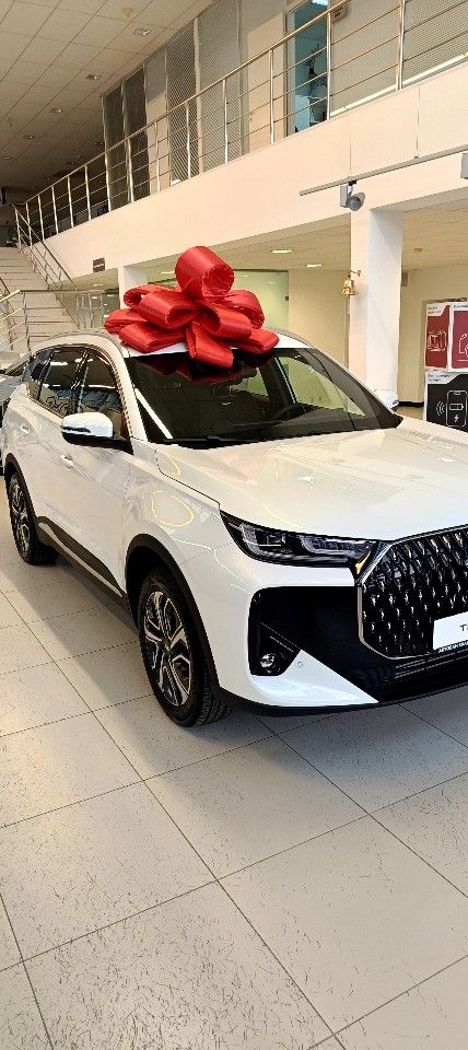 Chery Tiggo 7L: фото владельца
