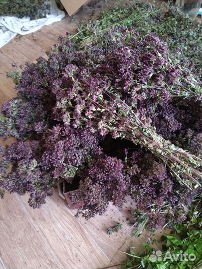 Душица, мелисса лимонная, мята перечная