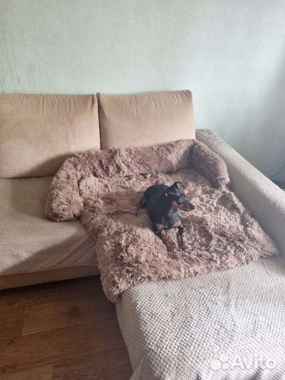 Подстилка для собак в авто и для дивана