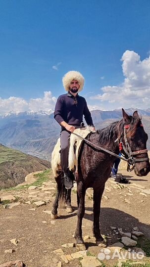 Гид экскурсовод