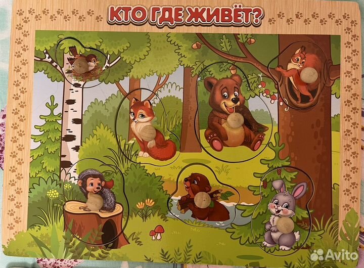 Рамки вкладыши