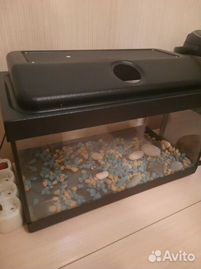 Аквариум для черепах 20л