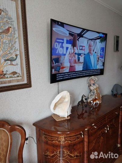 Большая морская раковина