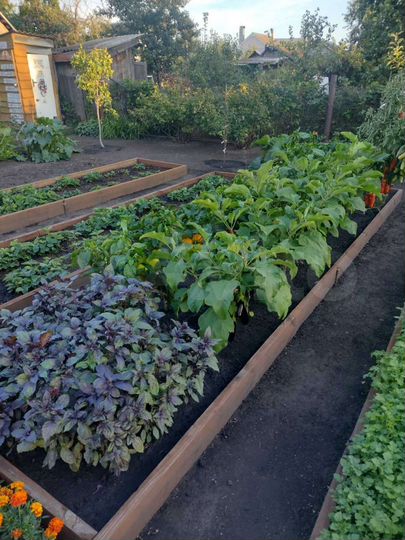 Дача 80 м² на участке 5,8 сот.