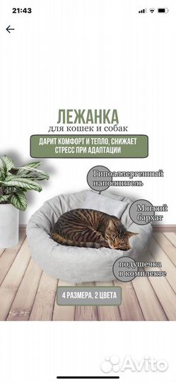 Лежанка для животных