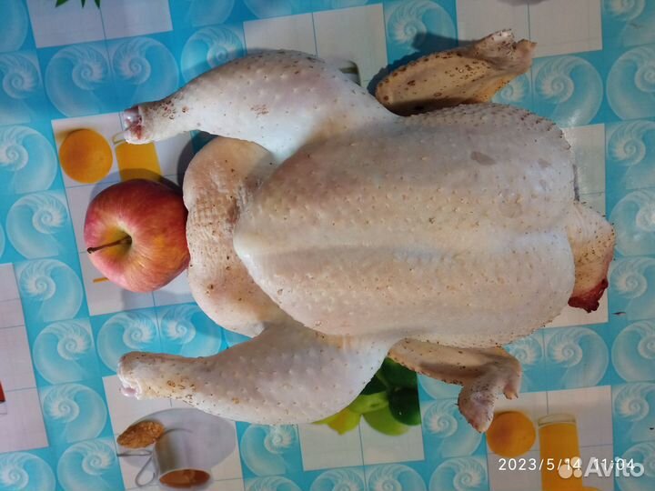 Мясо птицы, утки, бройлеры,индюка, куры, утка