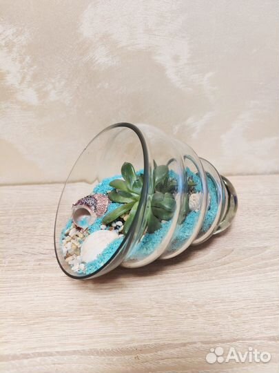 Живые картины и флорариумы из суккулентов