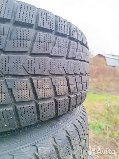 Nexen Winguard Ice 215/65 R16