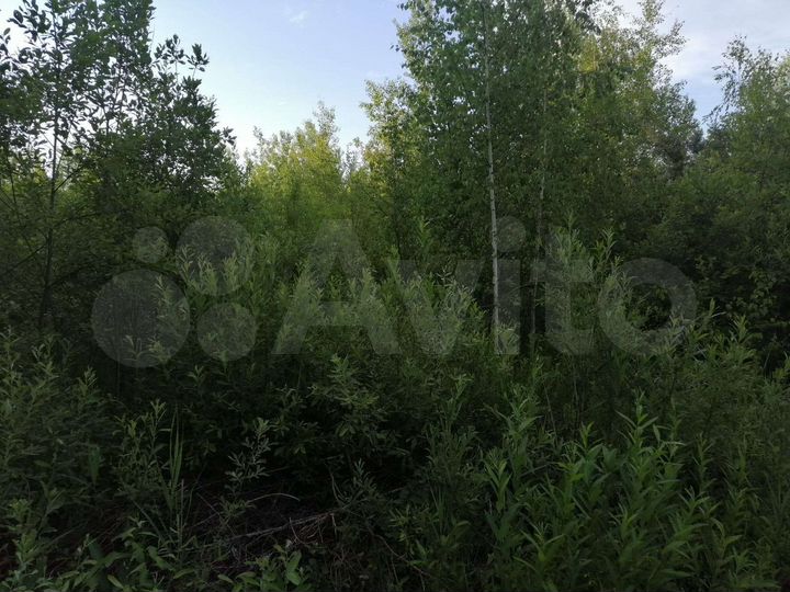 Участок 12 сот. (СНТ, ДНП)