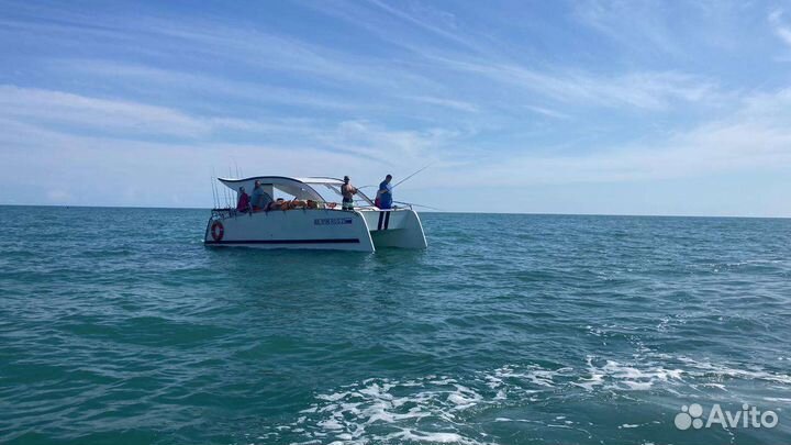 Морская рыбалка, прогулка