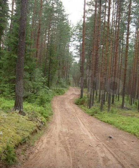 Дом 287 м² на участке 78 сот.