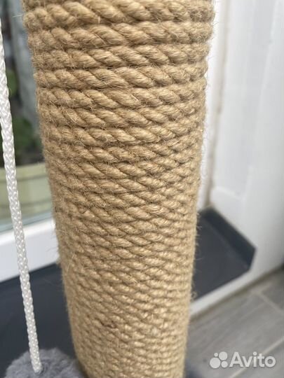 Когтеточка для кошек