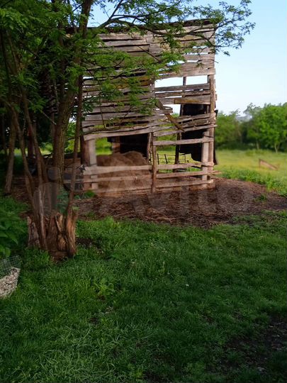 Дом 40 м² на участке 50 сот.