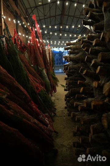 Ёлка новогодняя из Дании 2 метра