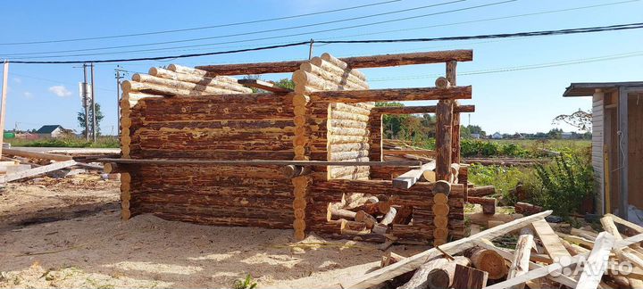 Сруб дома из бревна