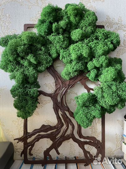 Панно из стабилизированного мха