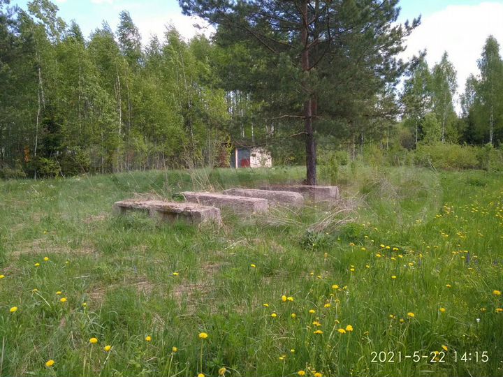 Участок 6 сот. (СНТ, ДНП)