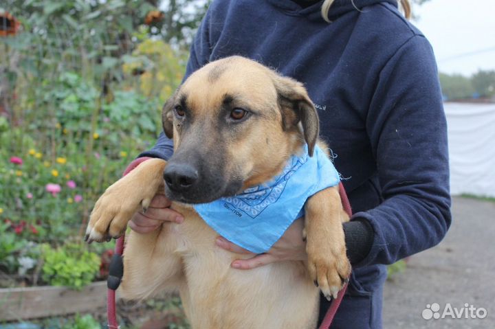 Каждый день борьба за жизнь