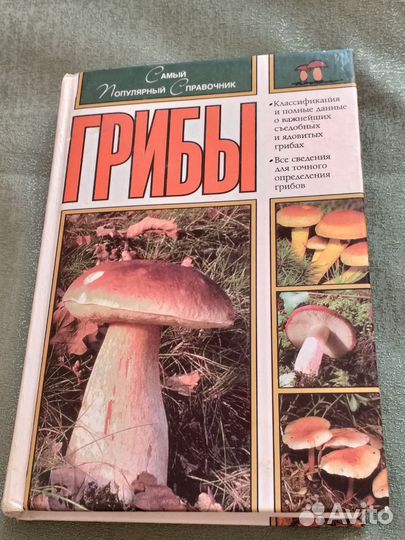 Книга 