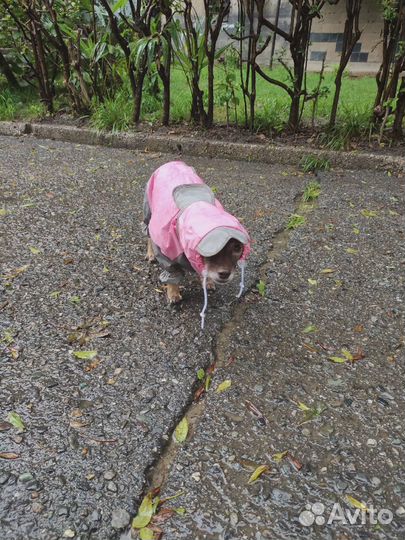 Комбинезон дождевик для собак