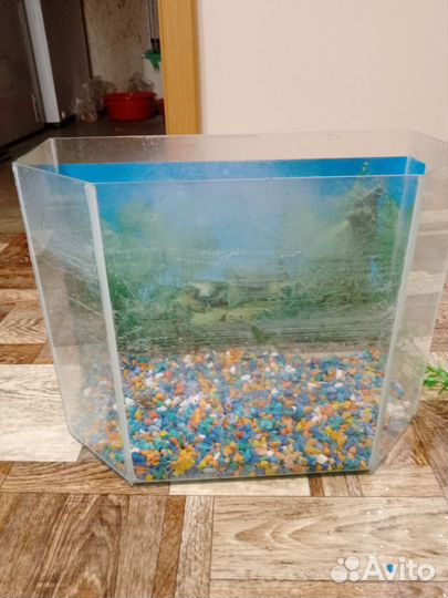 Аквариум