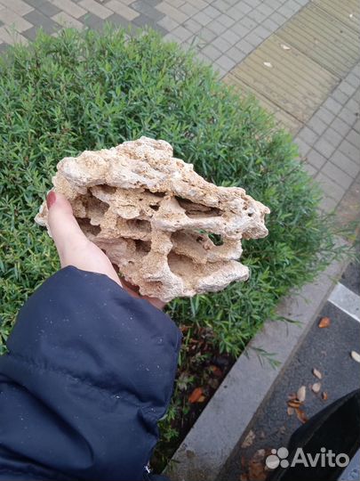 Камень песчаник для аквариума