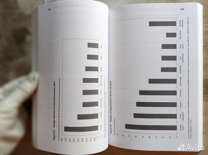 Russia after the Global Economic Crisis