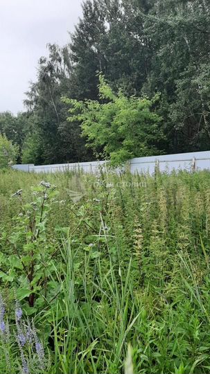 Участок 9 сот. (ИЖС)