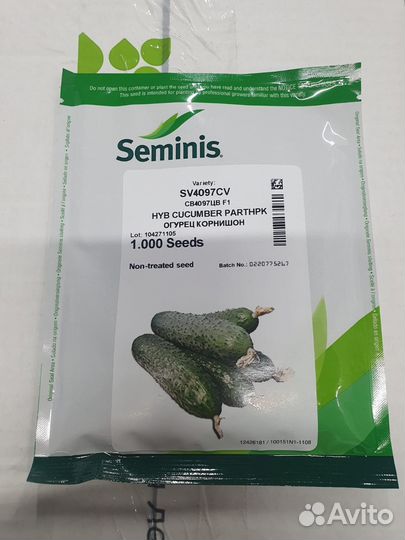 Семена огурец св4097цв гибрид 1 000с Семинис