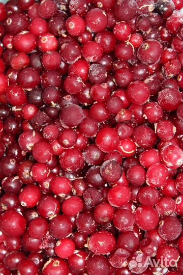 Клюква быстрозамороженная