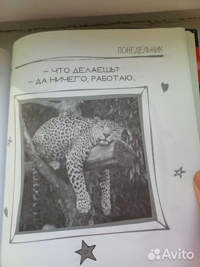 Книга- раскраска. Арт-терапия. Антистресс