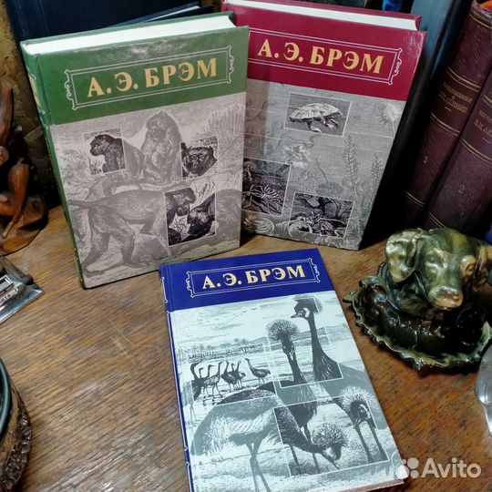 А.Э. Брэм Жизнь животных
