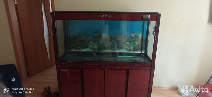 Аквариум