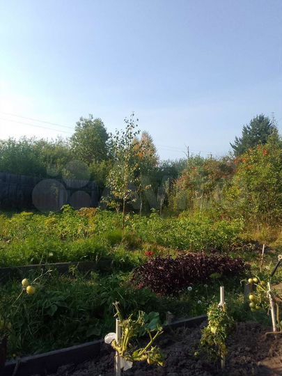 Дом 26,5 м² на участке 15 сот.