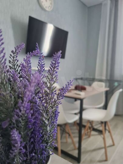 Квартира-студия, 25 м², 20/21 эт.
