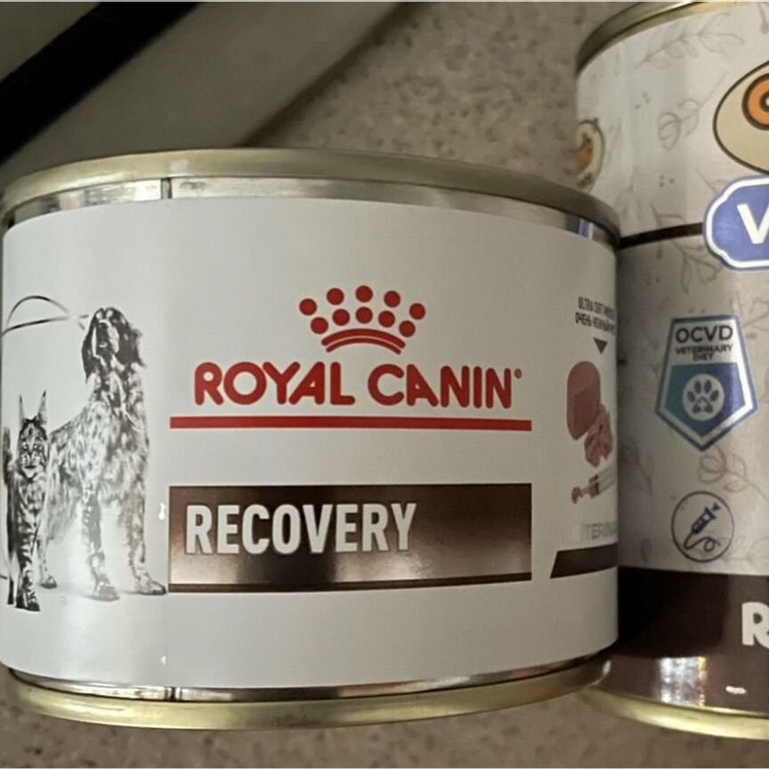 Royal canin recovery консервы