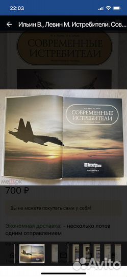 Ильин В., Левин М. Истребители